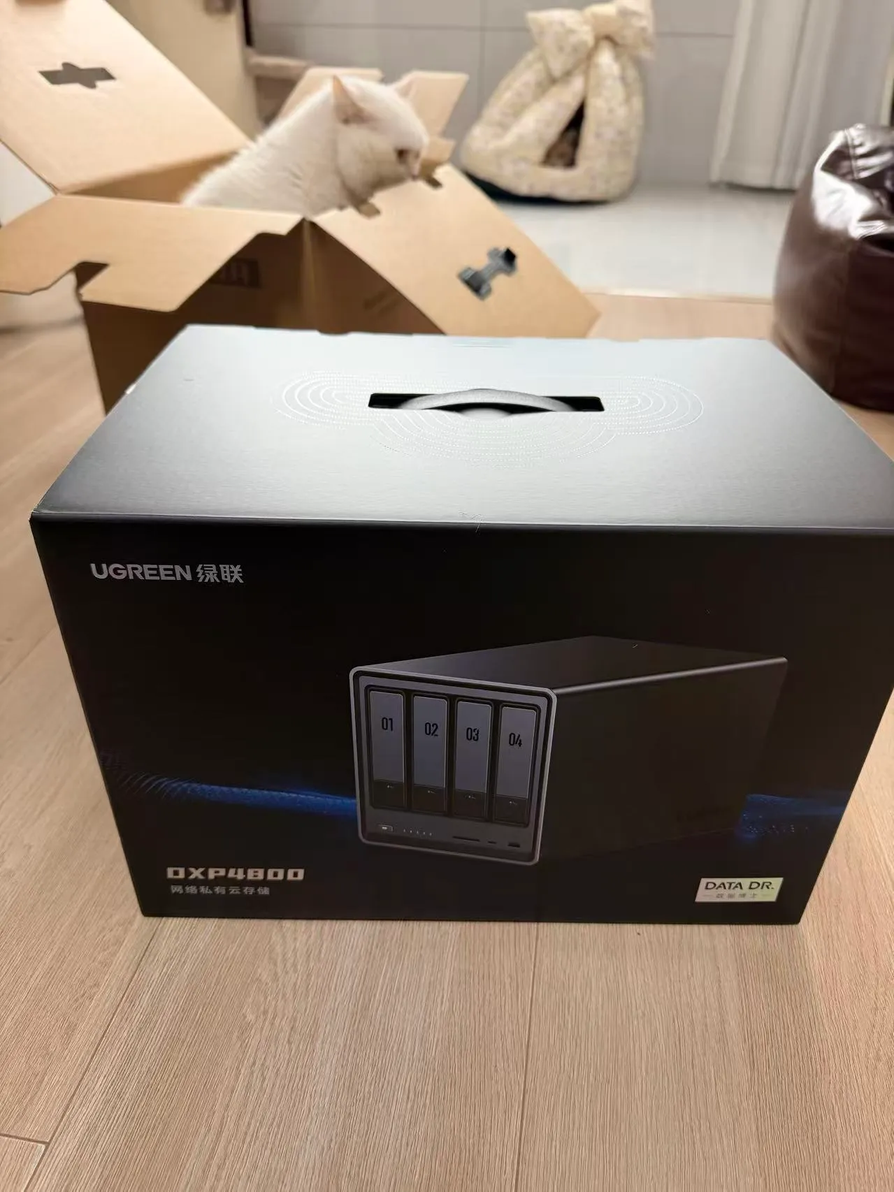 新NAS换机到手